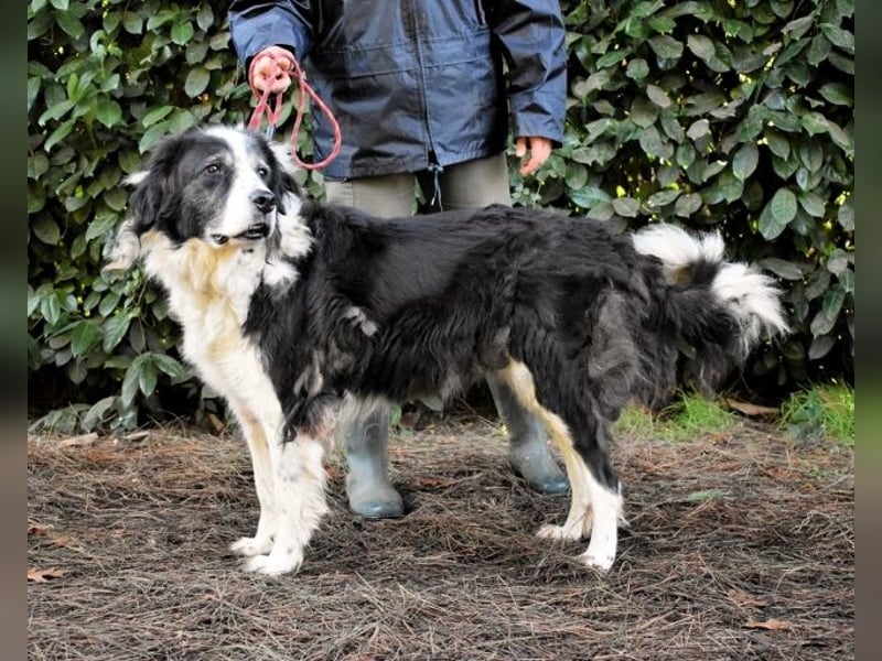 Hindah - Dreieinhalb Sommersprossen