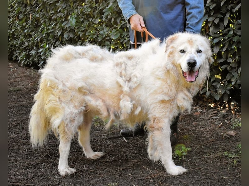 Apolonio - möchte für seine Menschen ein Fels in der Brandung sein