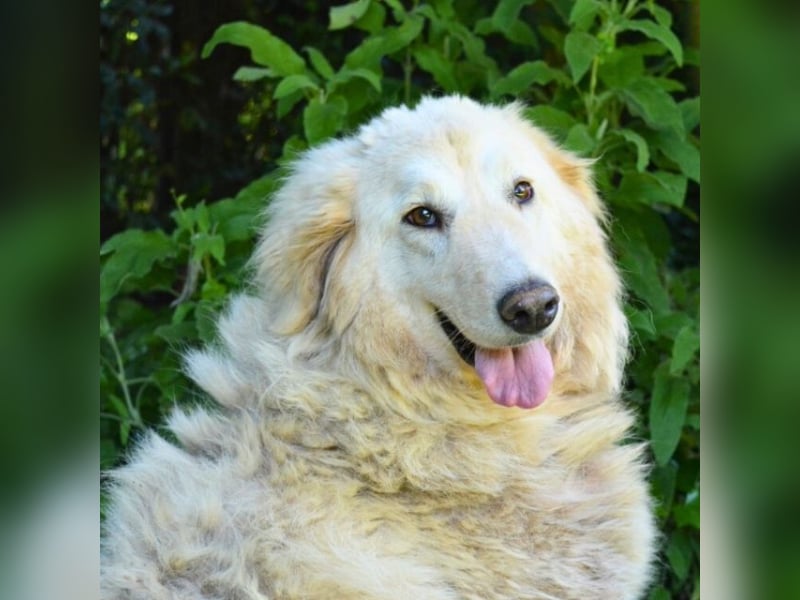 Filomela - Vom Sorgenkind zum Sonnenschein