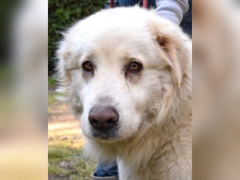 Quilmar - Was werden sie erzählen?