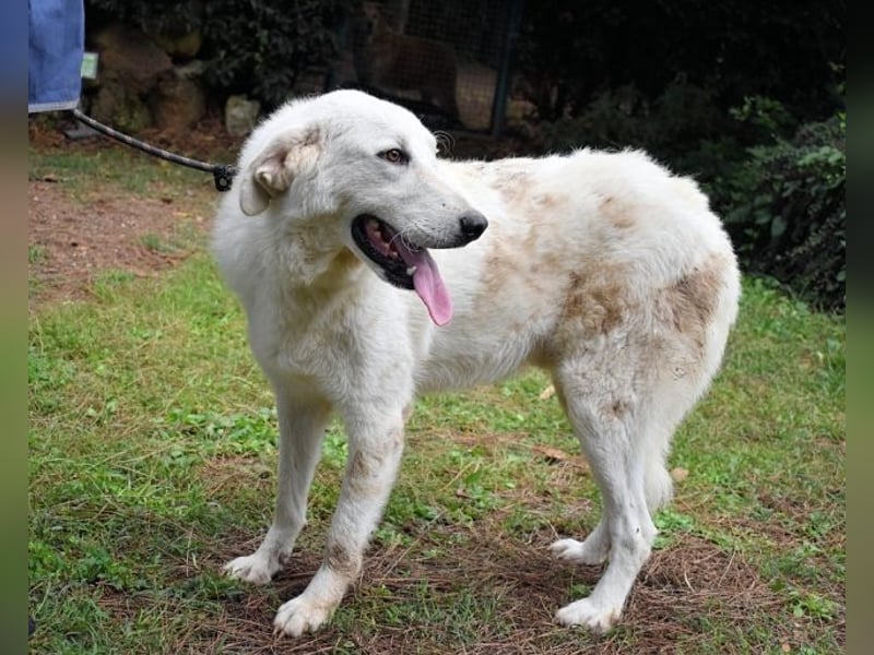 Dayton - niemals ist eine schrecklich lange Zeit