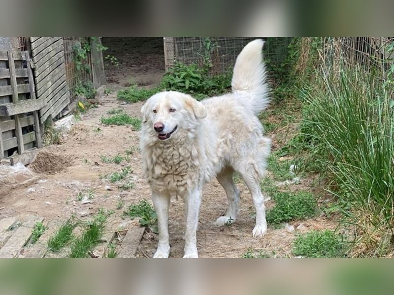 Sindbad - Zwischen Vorsicht und Vertrauen