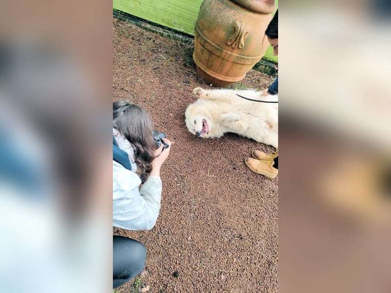 Hadriano - Viel mehr als nur einer unter vielen!