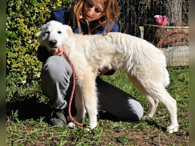 Heathon - sucht die Liebe seines Lebens