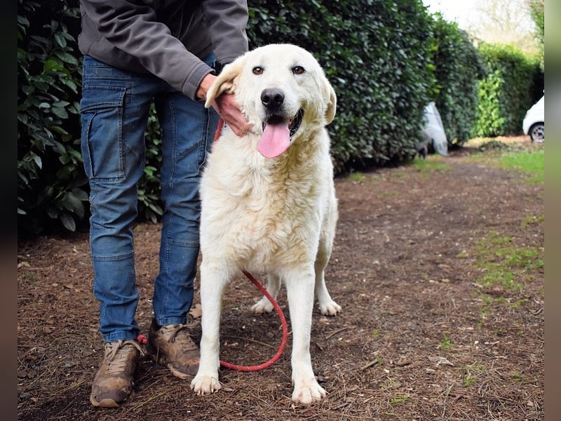 Dayton - niemals ist eine schrecklich lange Zeit