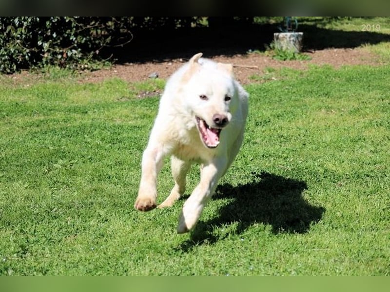 Zipper - Ein vergeudetes Leben