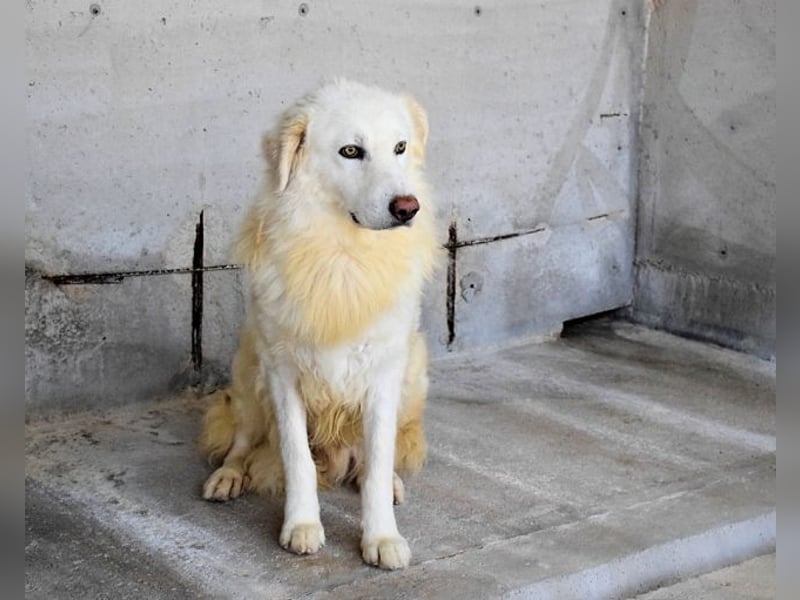 Fredrik - Was nach der Trennung kommt