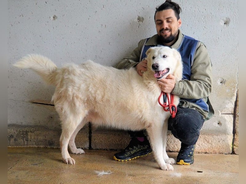 Sallustio - Der Sinn des Lebens