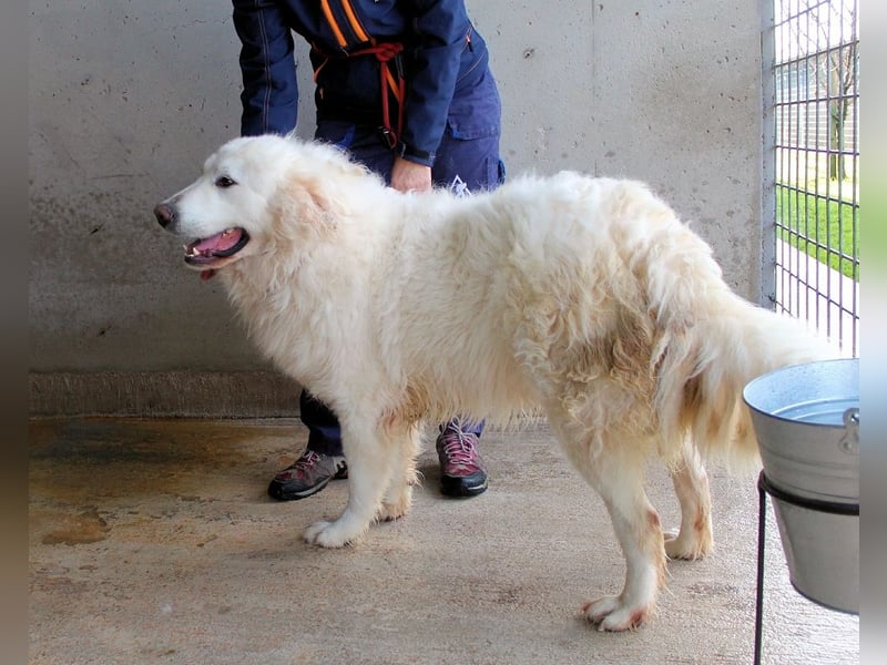 Leverett - Ich sehe was, was du (noch) nicht siehst!