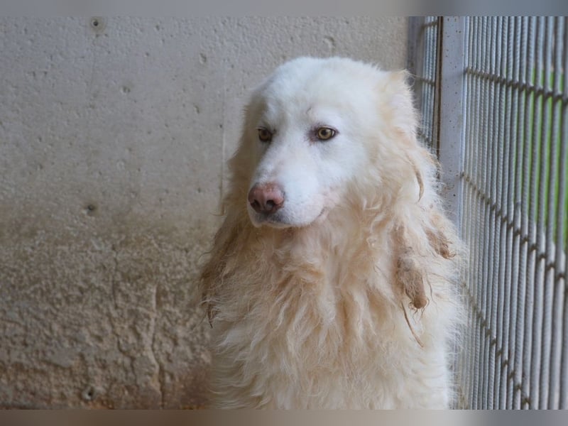 Fredrik - Was nach der Trennung kommt