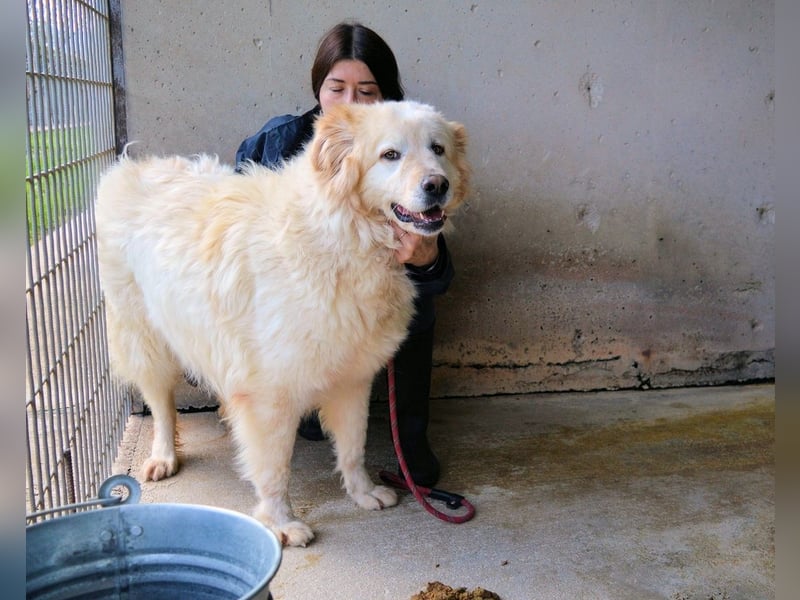 Skilah - Wenn Niemand zu Jemand wird