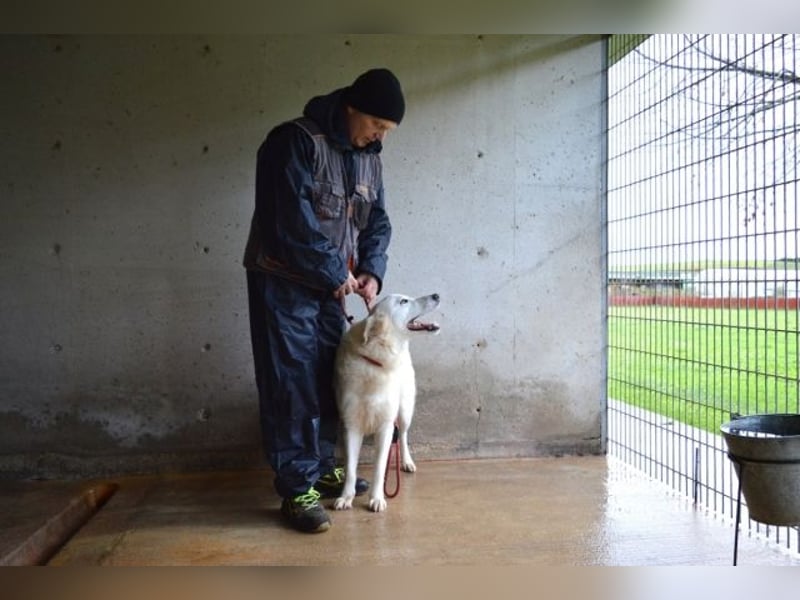 Meriwa - Doch nur wieder ein Kurzbesuch.....
