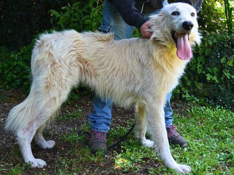 Isana - Wo ist mein neues Leben?