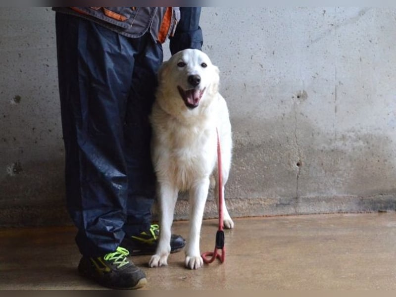 Meriwa - Doch nur wieder ein Kurzbesuch.....