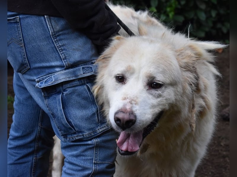 Eluard - Hoffnung auf echte Freundschaft!