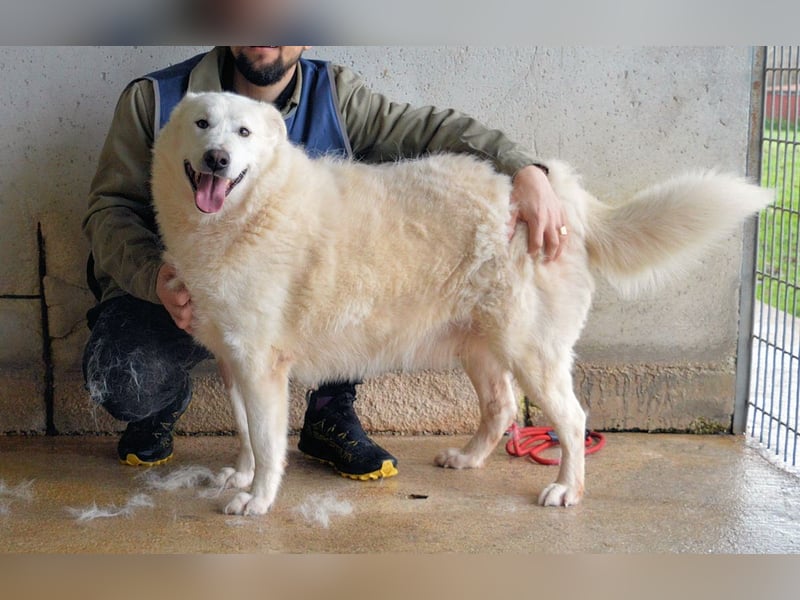 Sallustio - Der Sinn des Lebens