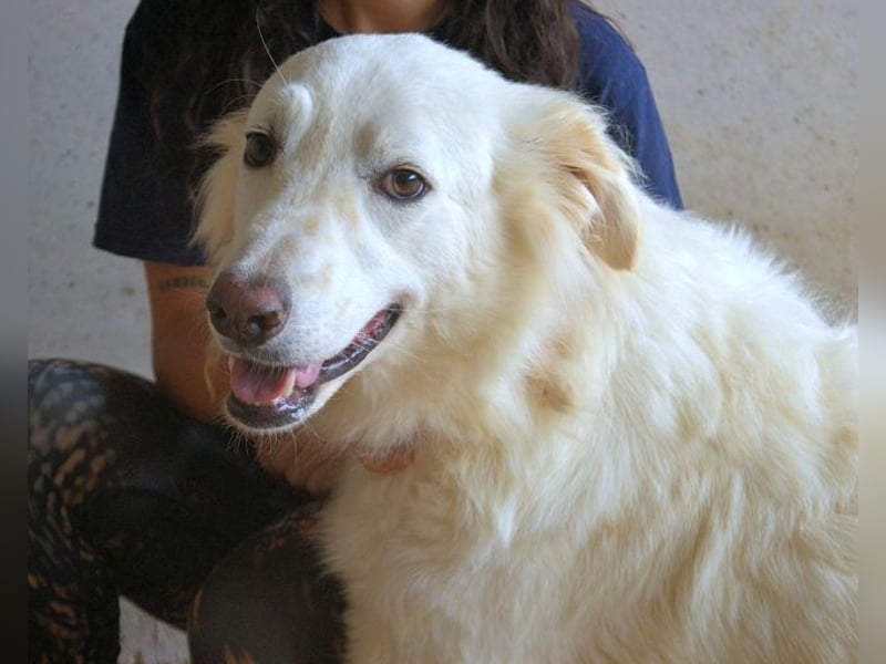 Hadrianus - weiß, es wird einmal ein Wunder gescheh'n