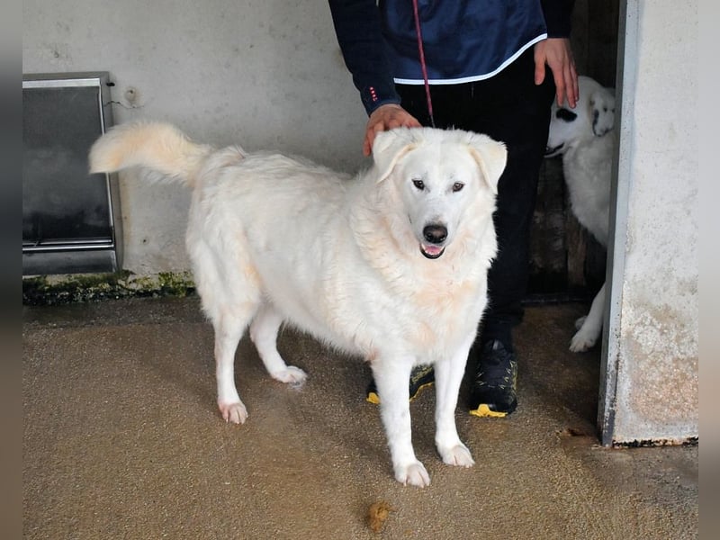 Sallustio - Der Sinn des Lebens