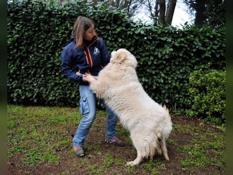 Tallulah - Grandezza auf vier Pfoten!