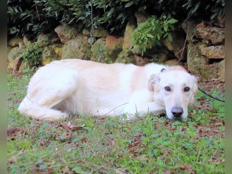 Yannick - eine zweite Kindheit?