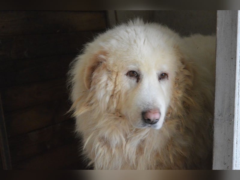 Atheron - Das Ehemaligentreffen