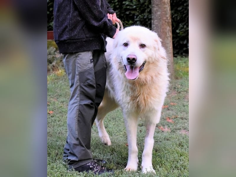 Balvin - Andere schauen bis zum Horizont