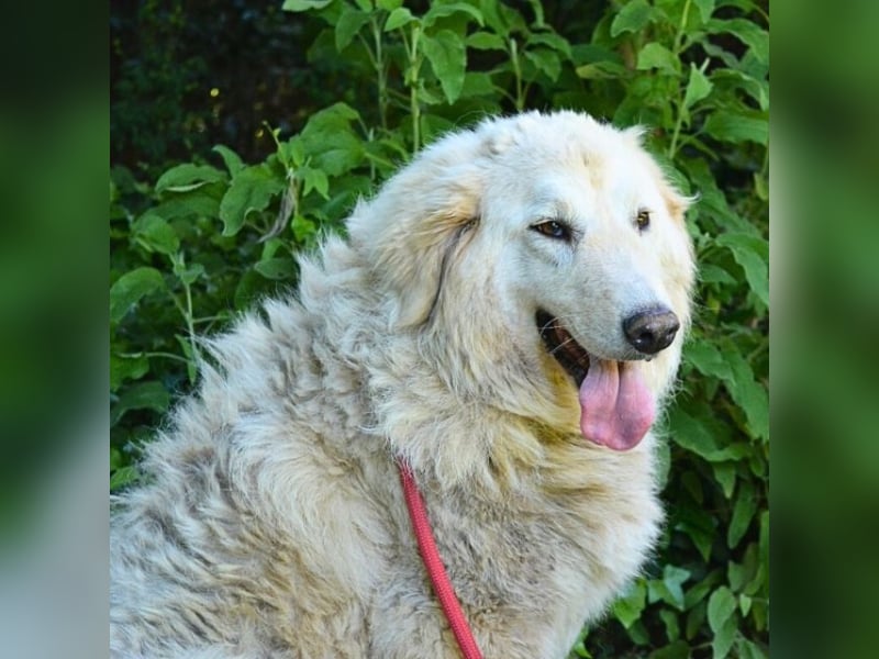 Filomela - Vom Sorgenkind zum Sonnenschein