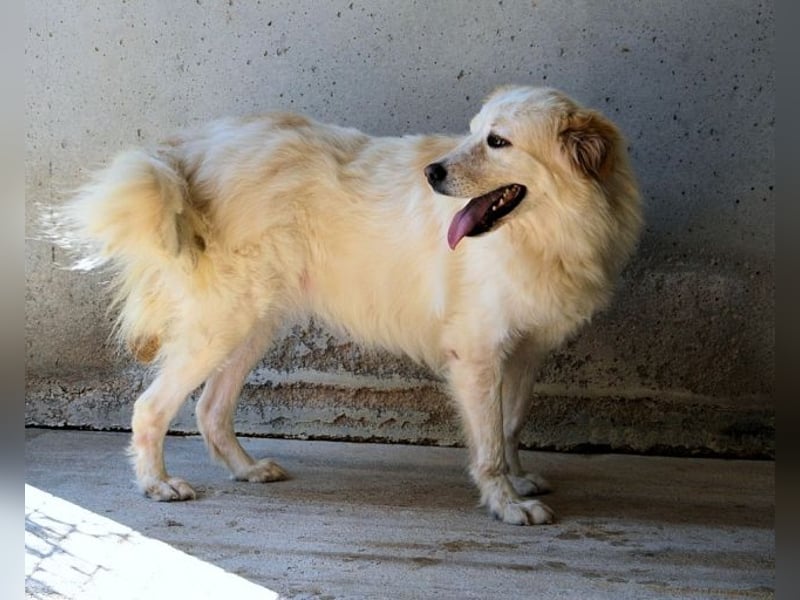 Skilah - Wenn Niemand zu Jemand wird