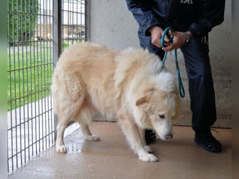 Olivielle- Junge Dame im Bärenmantel