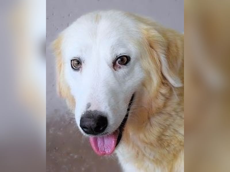 Benilda - Familiemutter in Not