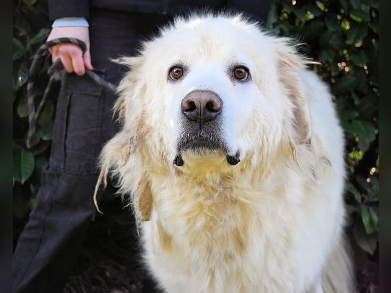 Balvin - Andere schauen bis zum Horizont