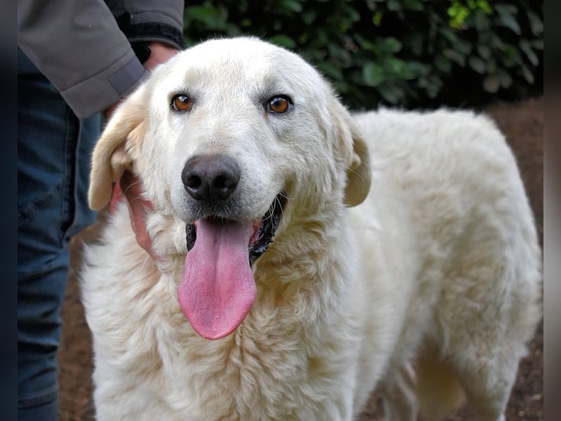Dayton - niemals ist eine schrecklich lange Zeit