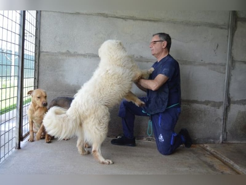 Quebry - Es ist, was es ist...