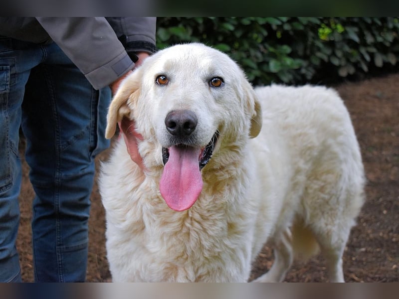 Dayton - niemals ist eine schrecklich lange Zeit