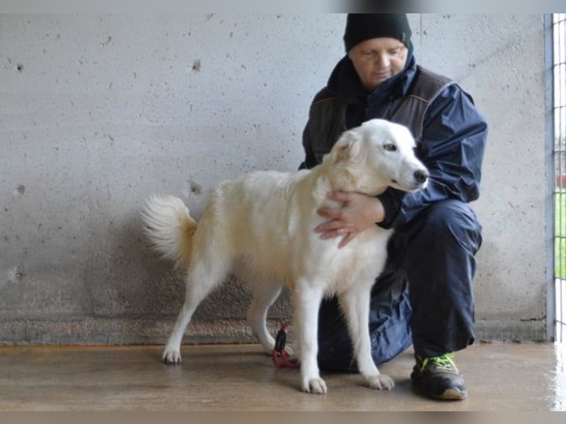 Meriwa - Doch nur wieder ein Kurzbesuch.....