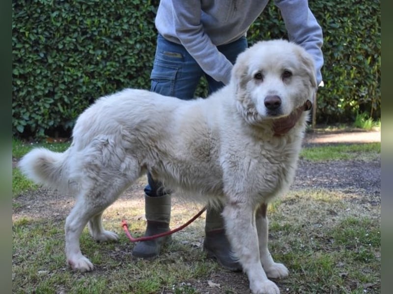 Quilmar - Was werden sie erzählen?