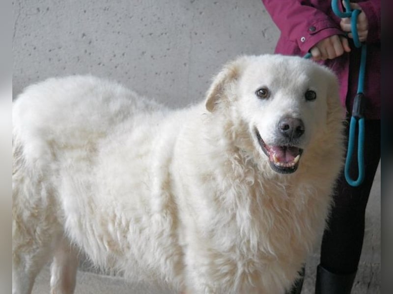 Albertone - Alles, alles Gute!!!