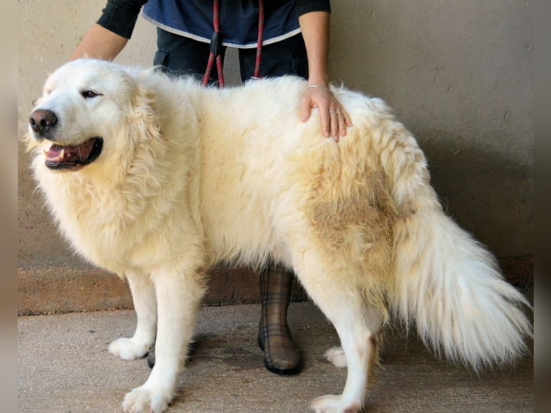 Leverett - Ich sehe was, was du (noch) nicht siehst!