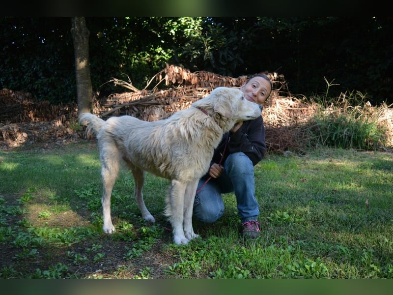 Sisko - es sind so viele