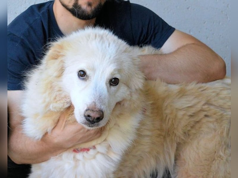 Olivielle- Junge Dame im Bärenmantel