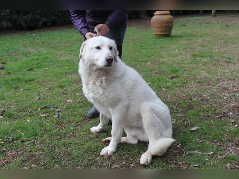 Makeen - es ist die Ohnmacht.....