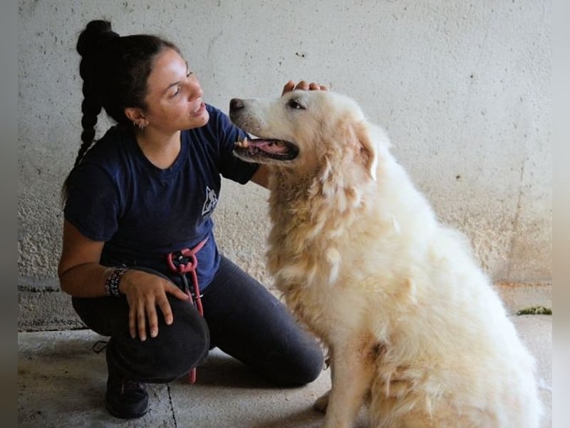 Eskie - aber bitte mit Sahne ins Glück!
