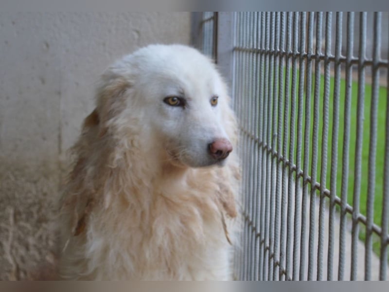 Fredrik - Was nach der Trennung kommt