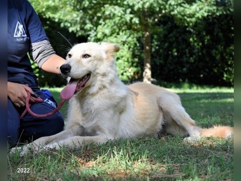 Antiloco - Nur ein Wunsch: endlich nach Hause!