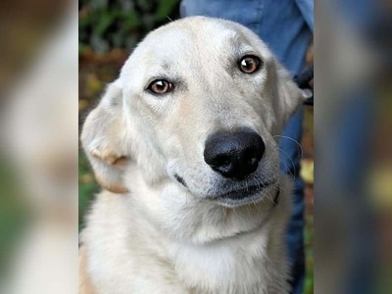 Yannick - eine zweite Kindheit?