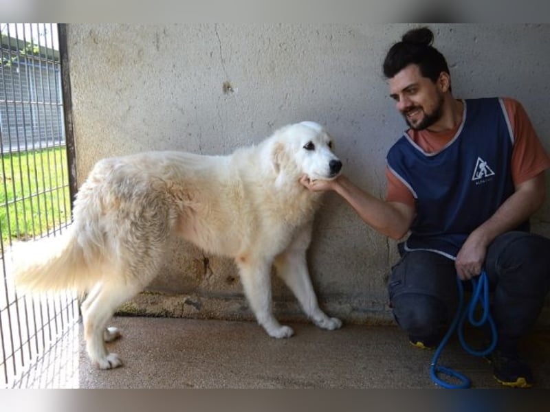 Amaya - So schön und so schrecklich? Amaya - So schön und so schrecklich?