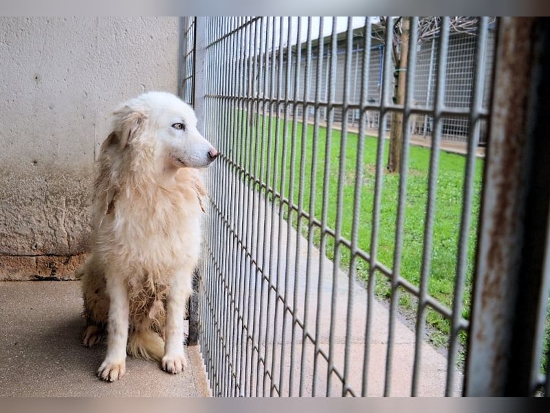 Fredrik - Was nach der Trennung kommt