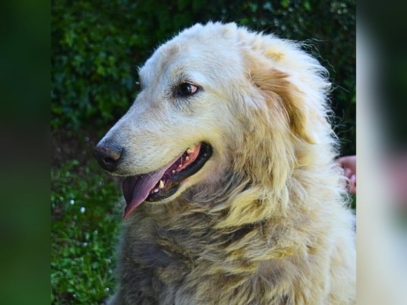 Filomela - Vom Sorgenkind zum Sonnenschein