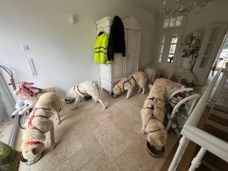 Stardust - Von der Erde zum Mond und zurück....