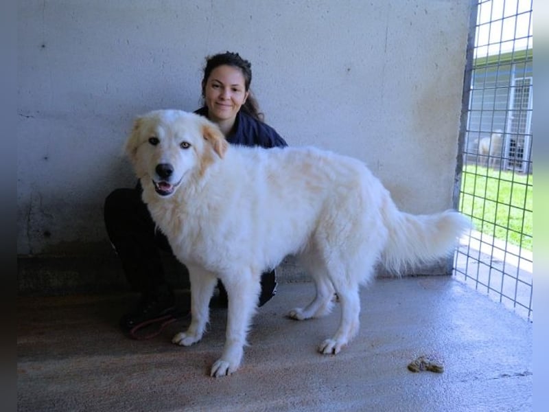 Skilah - Wenn Niemand zu Jemand wird